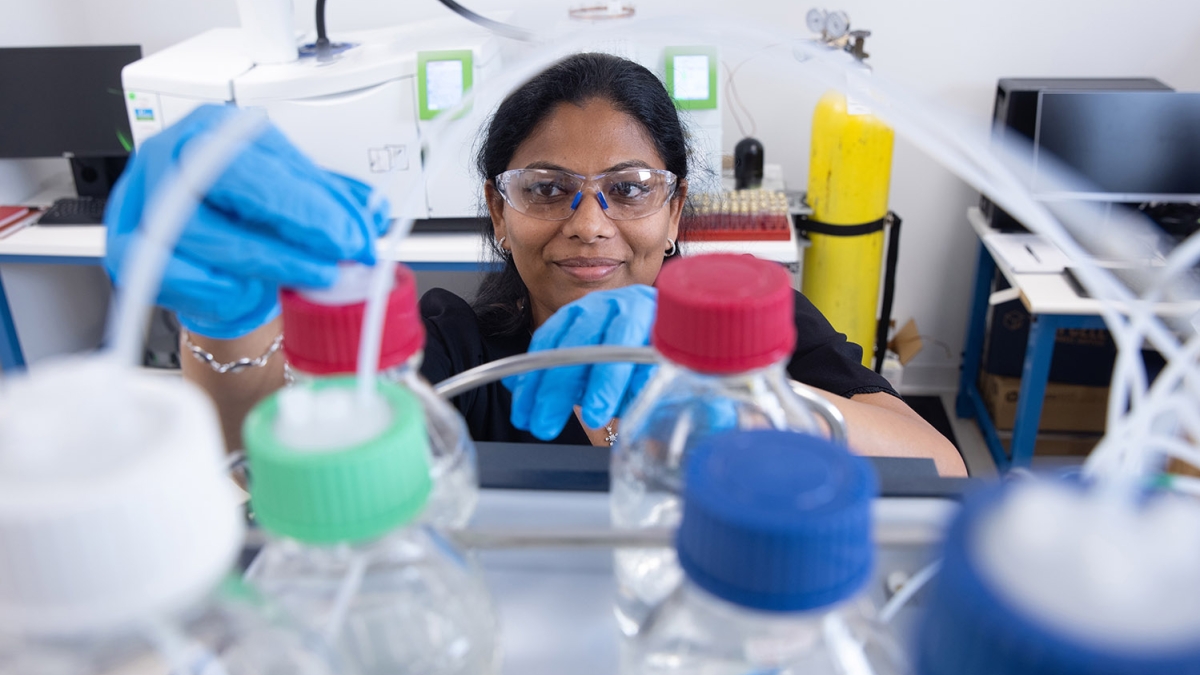 An employee at work in the lab