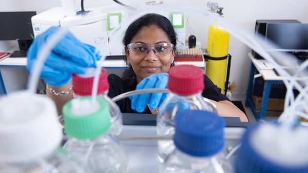 An employee at work in the lab